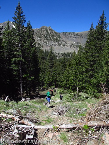 Near the top of the cutoff trail from Williams Lake to the Wheeler Peak Trail, Carson National Forest, New Mexico