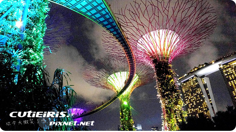 新加坡∥晚上最驚艷燈光秀濱海灣花園(Garden by the Bay)空中走廊(OCBC Skyway)超級樹(SUPERTREE GROVE)無法用言語形容的美 10 32503943047 dd95e7be2d o