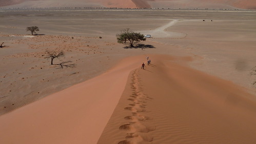 afrika africa namibia wüste düne