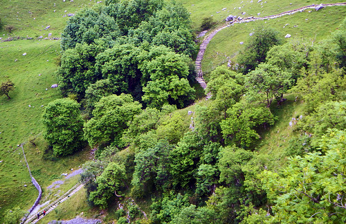 Pastoral landscape with a lot of stairs on our Malham walk in the Yorkshire Dales of England
