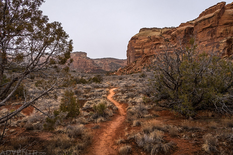 Ute Canyon Trail