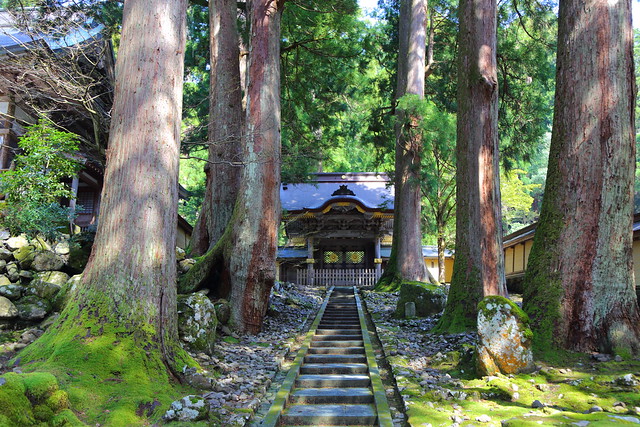 IMG_1632 永平寺 Eiheiji Temple
