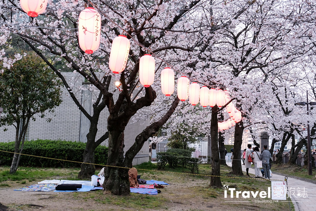 Fukuoka Cherry Blossom Spots Fukuoka Tenjin Cherry Blossom Festival (48)