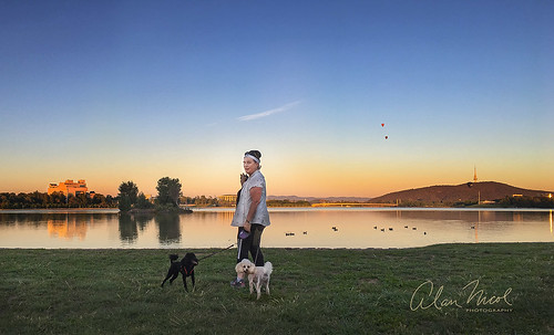 canberra lake balloons poodles dawn sunrise reflection