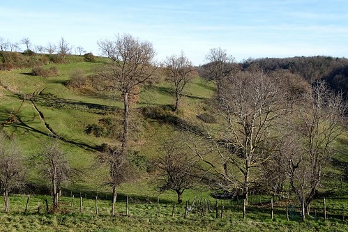 cosseria landscape paesaggio colline trees alberi green winter inverno liguria italy italia hills