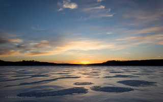 Winter in Cootes Paradise