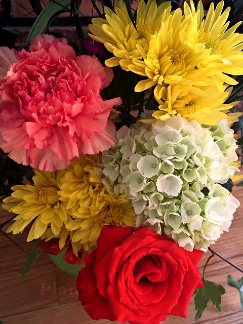 flowers in vase 1