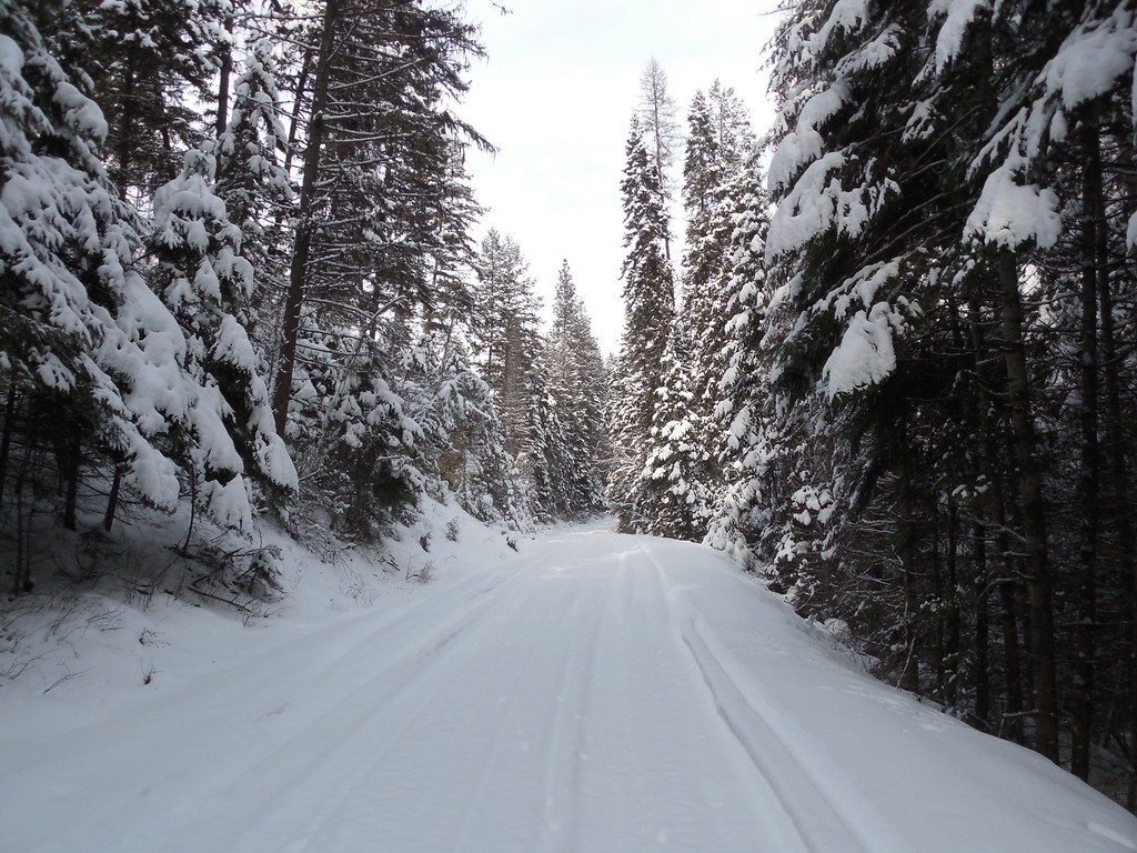 Winter in NW Montana