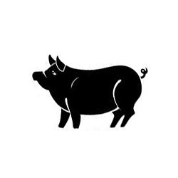 Ramalan Shio Babi di Ramalan shio tahun 2023