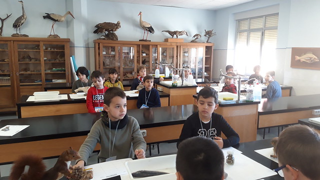 Laboratory practice (vertebrates)