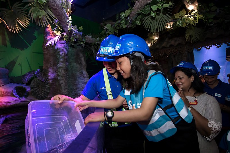 SEA LIFE Malaysia Welcomes First Group of Fish