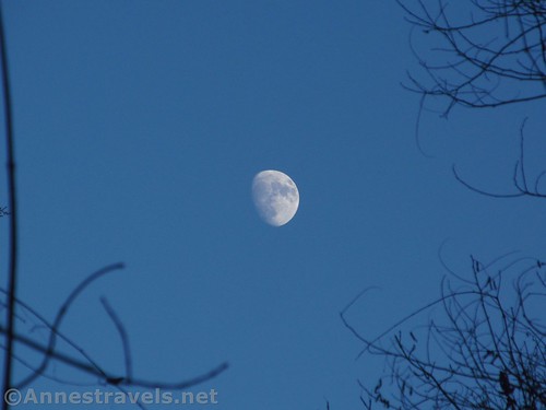 Rising moon while on our way back to the van from Densmore Falls in Irondeqoit, New York