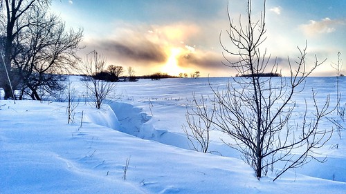 winter polarvortex cold tree sunset clouds sky creek illinois snow spring winterweather winterwonderland dusk