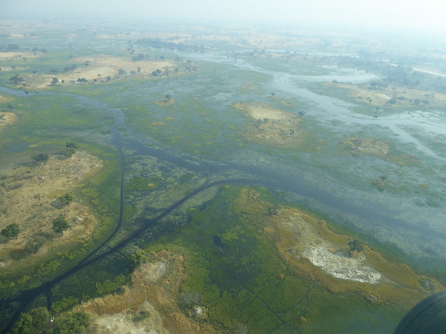 Vuelo sobre el Delta del Okavango. Llegamos a Moremi. - POR ZIMBABWE Y BOTSWANA, DE NOVATOS EN EL AFRICA AUSTRAL (11)