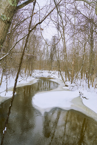 winter woods wetlands reflections river creek snow ice