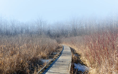 path nature landscape fog foggy wisconsin boardwalk marsh monches midwest canoneos5dmarkiii canonef2470mmf28lusm