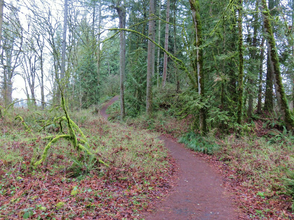 RIdgetop Trail
