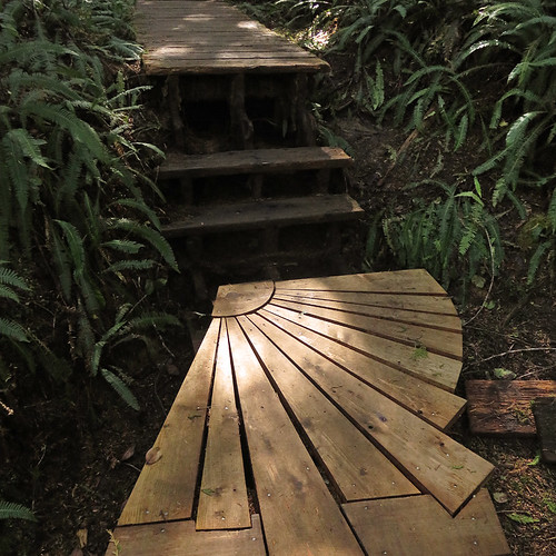 Wooden walkway through the Pacific Rim Rainforest trail on Vancouver Island, Canada