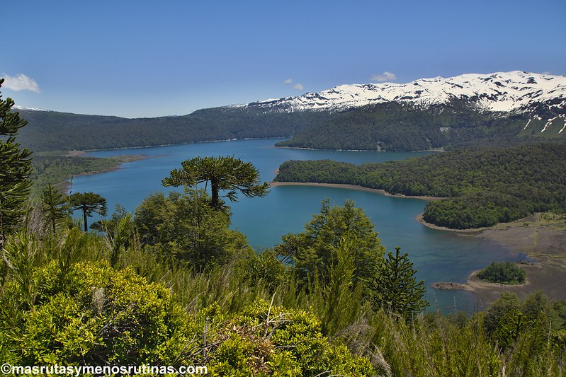 Araucanía I: Por los volcanes, lagos y araucarias de Malalcahuello, Conguillío y - Por el sur del mundo. CHILE (8)