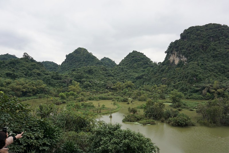 Más Tam Coc: recorrido en barca, Mua Cave y santuario de aves de Thung Nham - VIETNAM, TIERRA DE DRAGONES (30)