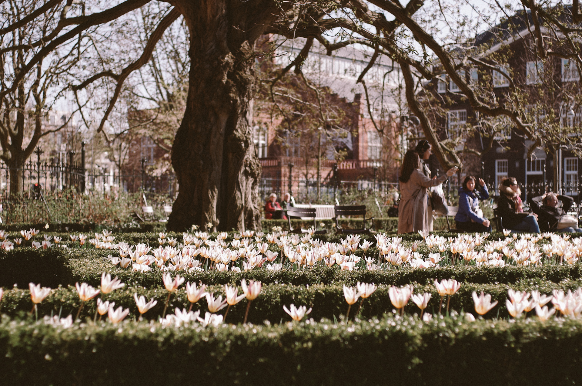 Amsterdam, Jardin des Tulipes