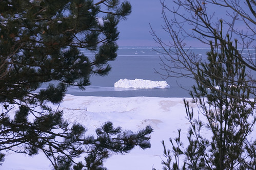 winter trees framed ice iceberg lake lakeshore lakemichigan clouds