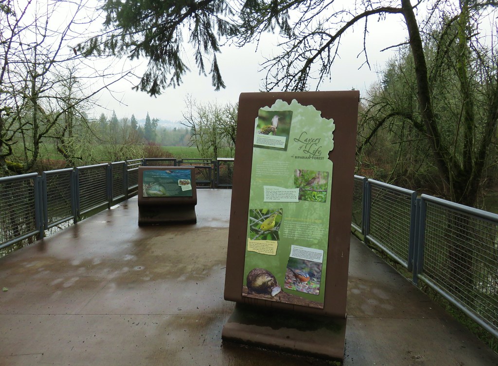 Viewing Deck along the River Trail