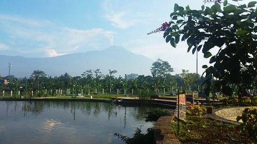 setiawanap setiawanapvlog indonesia tanaman tumbuhan daun bunga buah batang plants tree leaf flower fruit pemandangan alam panorama view landscape