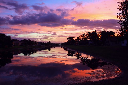 sunrise florida red southflorida broward unitedstates usa coralspringsflorida backyard hometown nature beauty natural mothernature colorful clouds cloudscape lake birds reflection calm beautiful quiet palmtree artisticsunrisephotography landscapephotography naturalbeauty lakeside outdoor sky moody my65footnorfolkpines morningglory water serene tree reflect canal126feetwide dawn roseydawn 121318 happyvalentinesday quartasunset470