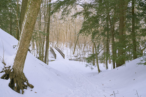 woods winter bridge creek