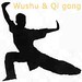 Wushu et Qi gong