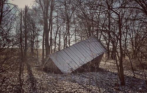 abandonedillinois abandonedfarm barn forgotten collapsed oldbarn shed farm trees winter sunflare landscape