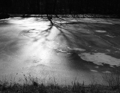 parkschool pikesville maryland ponds ice glare shadows bw mono hss cmwd