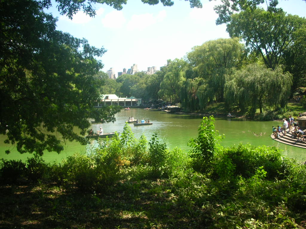 NY Central Park 3