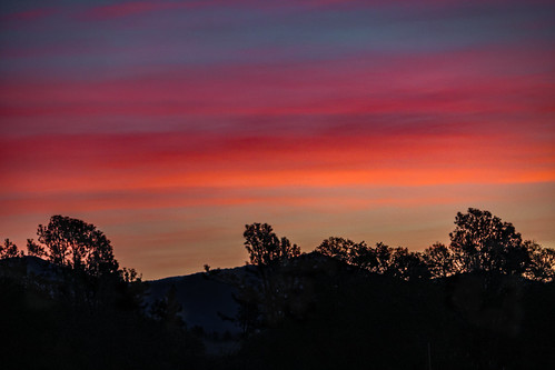 america california cloud jfflickr photosbydavid plant postedonflickr redding shastacounty sky sunrise tree unitedstates usa unitedstatesofamerica