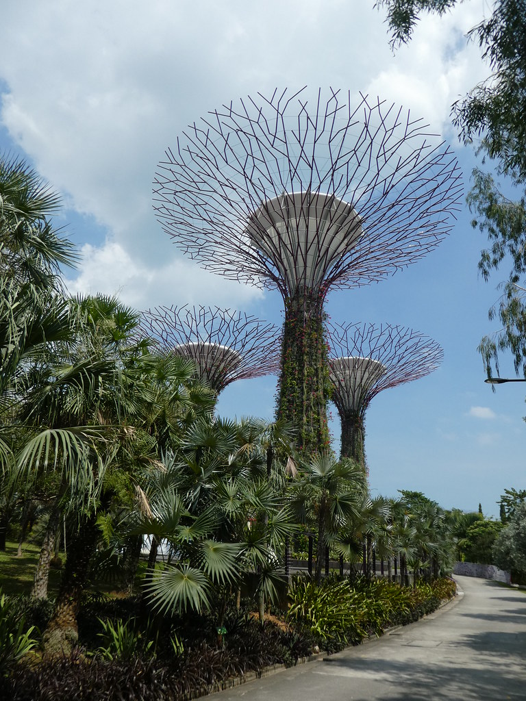 Supertrees in the Gardens by the Bay, Singapore