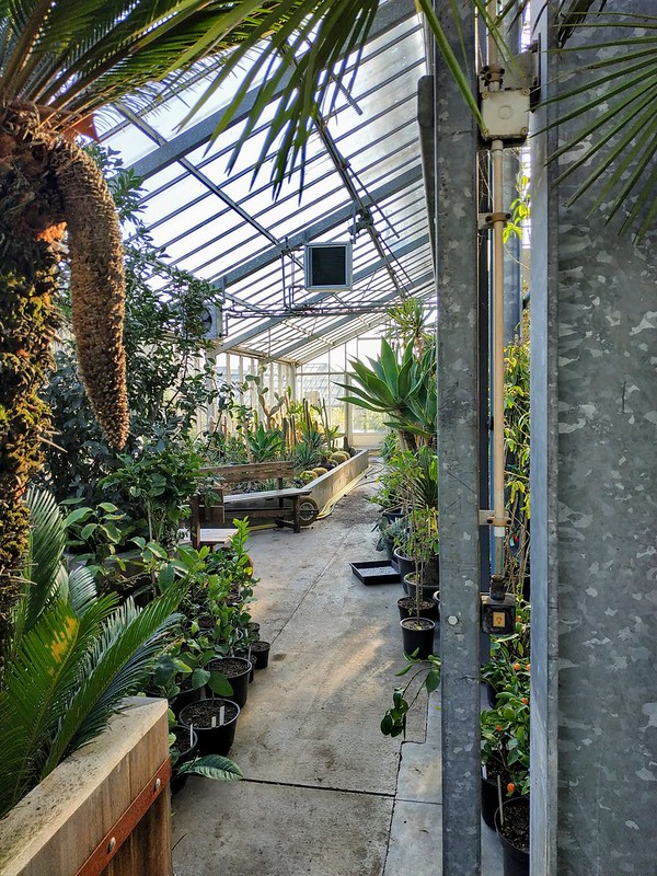 Invernadero del jardín botánico