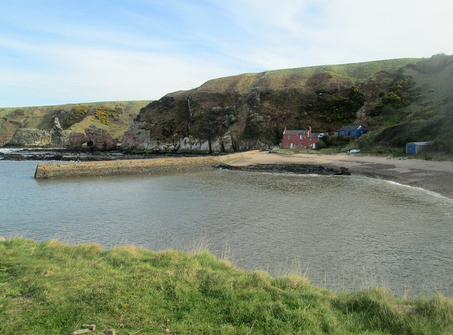 Cove Harbour