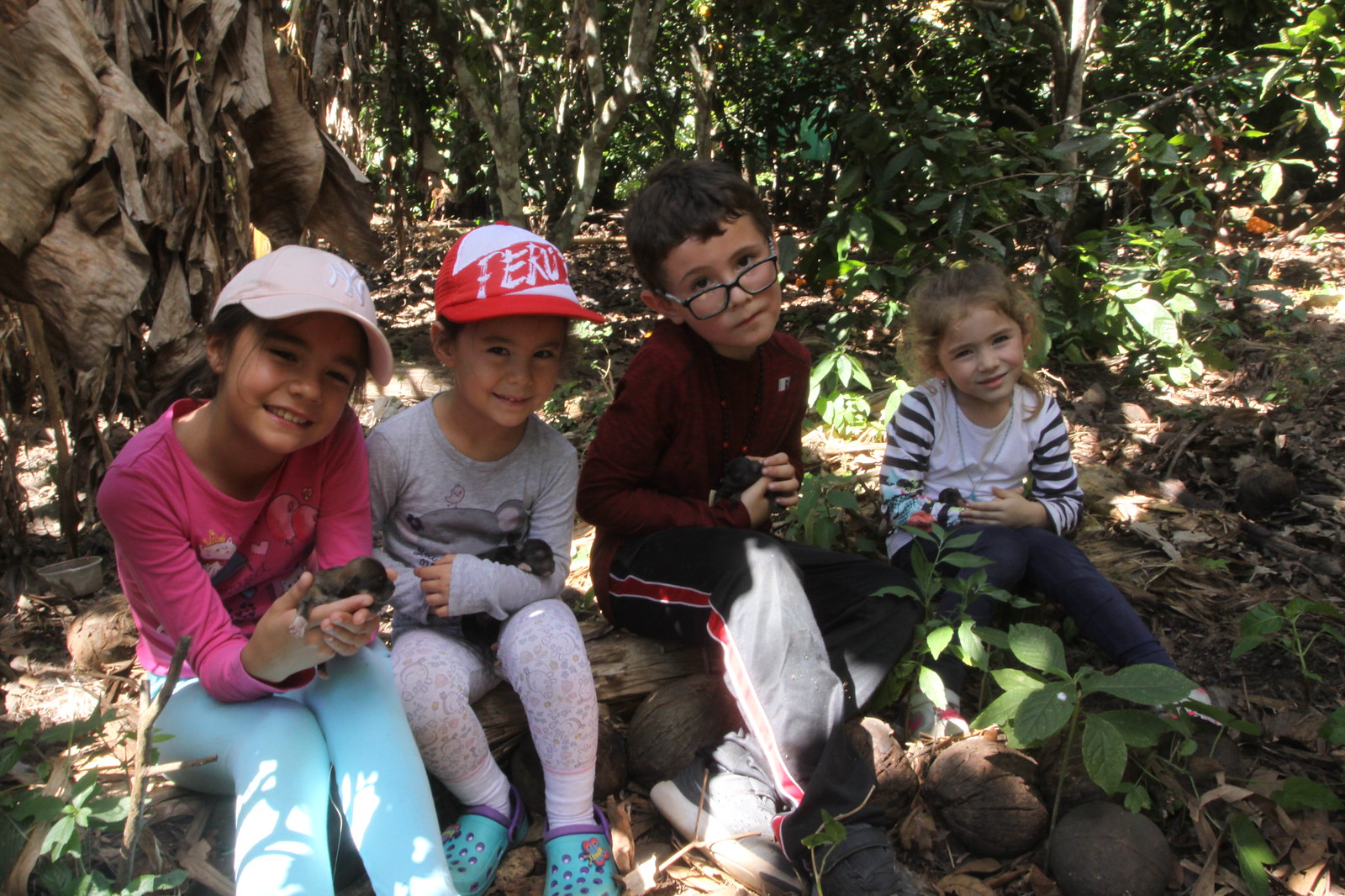 Echarate Peru: Cacao Farm & Animals