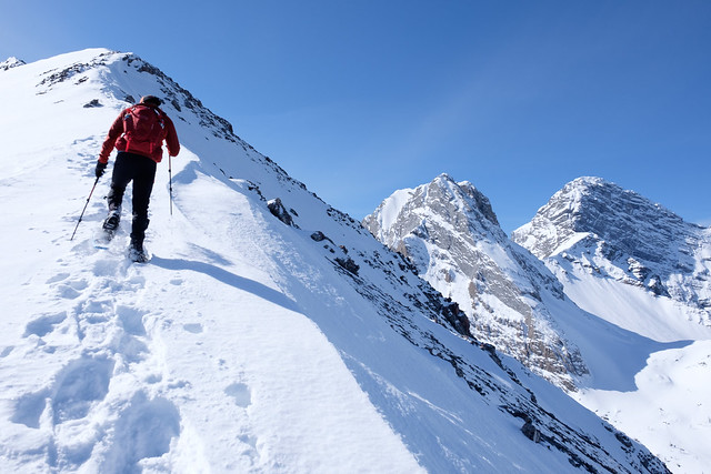 Snowshoeing - Commonwealth Ridge - March 2019-2