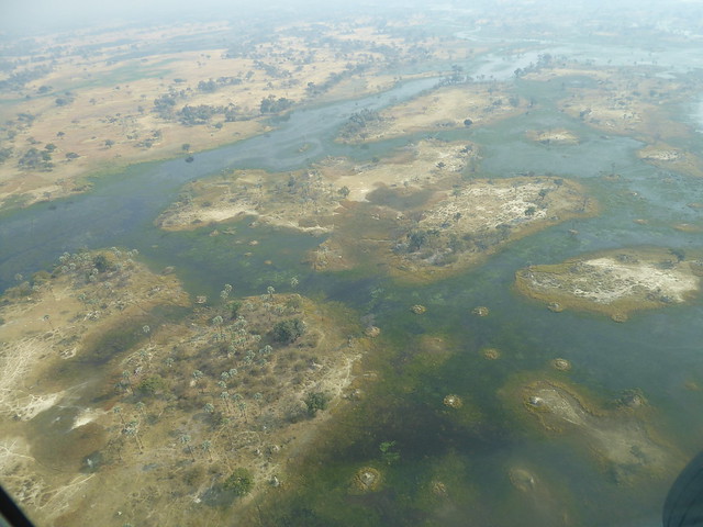 Vuelo sobre el Delta del Okavango. Llegamos a Moremi. - POR ZIMBABWE Y BOTSWANA, DE NOVATOS EN EL AFRICA AUSTRAL (12)