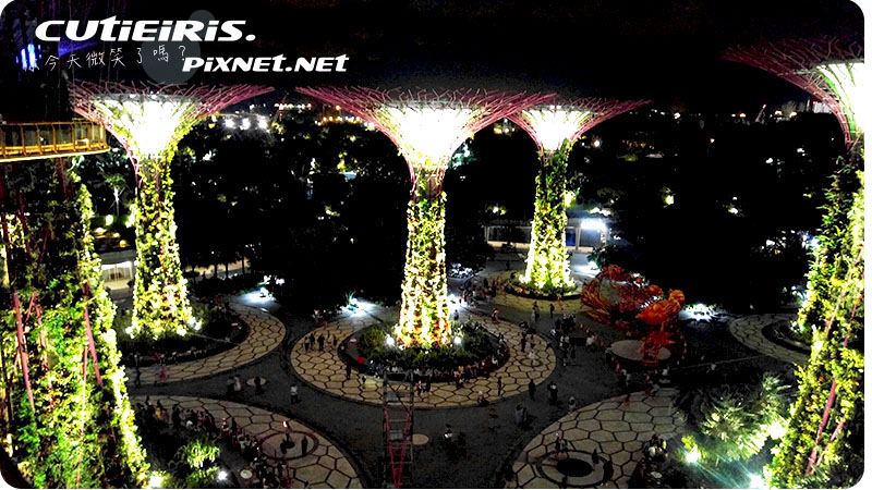 新加坡∥晚上最驚艷燈光秀濱海灣花園(Garden by the Bay)空中走廊(OCBC Skyway)超級樹(SUPERTREE GROVE)無法用言語形容的美 15 46530405725 128018c15b o