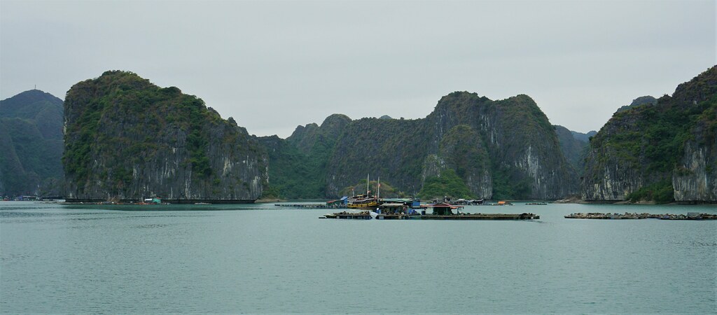 Navegando por Lan Ha y Halong, la bahía de los gigantes de piedra - VIETNAM, TIERRA DE DRAGONES (14)