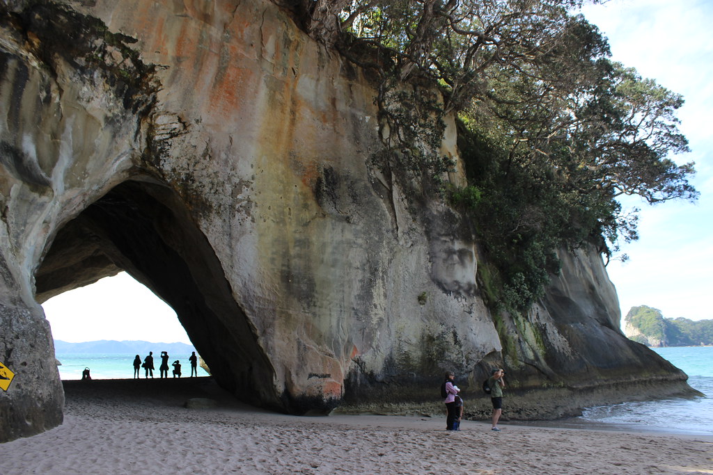 Cathedral Cove 19