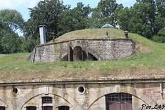 Fort de Bois L'Abbé - Photo of Deyvillers