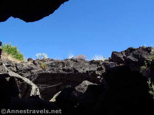 Looking up through a portion of the collapsed roof of Hercules Leg Cave in Lava Beds National Monument, California
