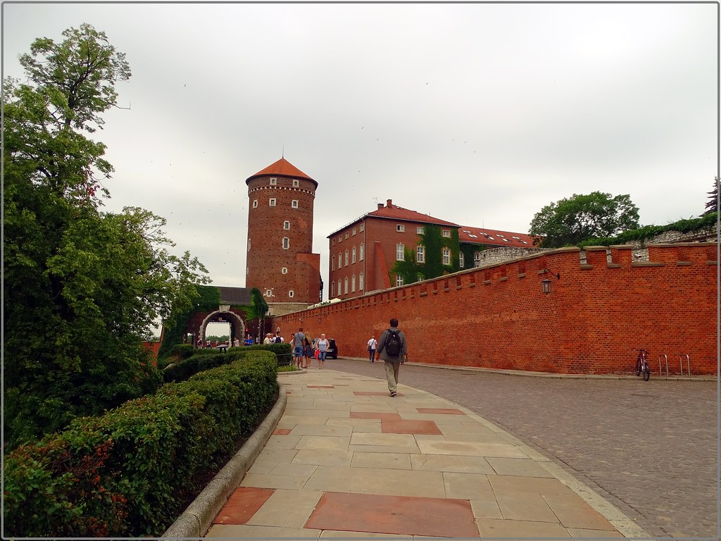 7 días en Polonia: Cracovia-Auschwitz-Tatras y Zakopane-Minas de Sal-Río Dunajec - Blogs de Polonia - Colina y Castillo de Wawel-Campo de concentración de Auschwitz (1)