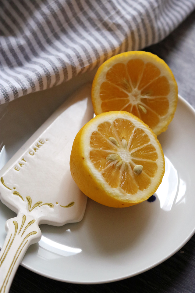 Lemon and Almond Streamliner Cake