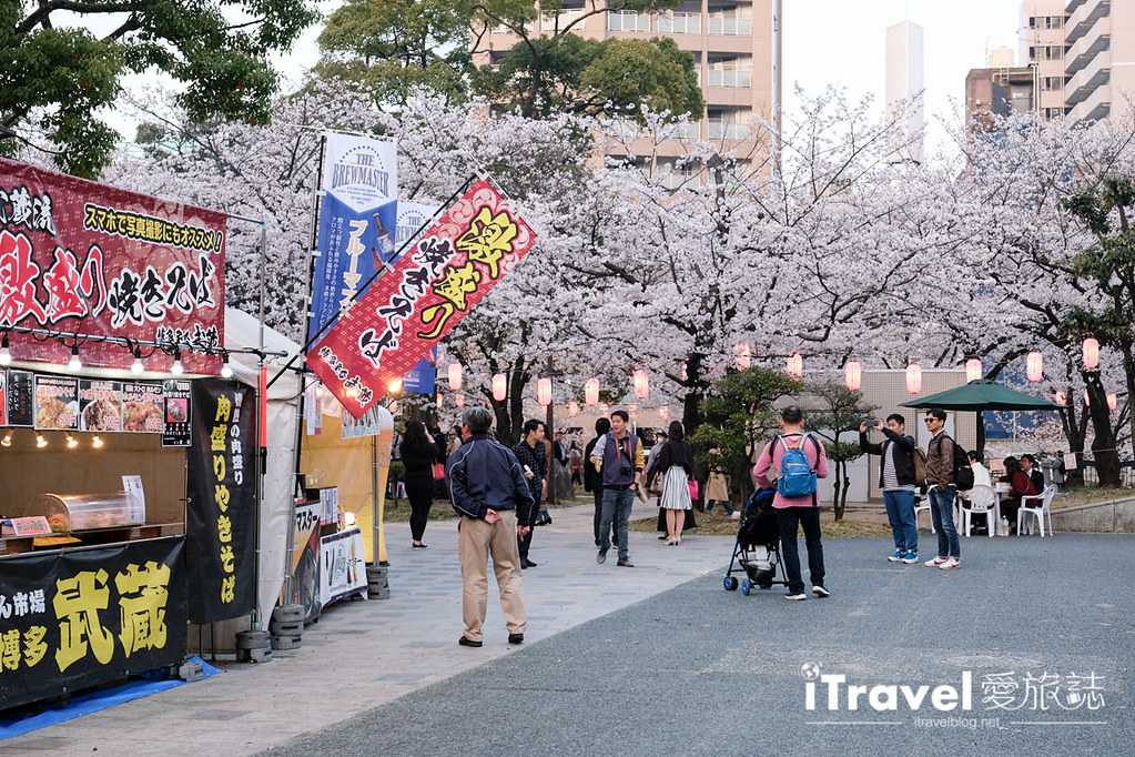 Fukuoka Cherry Blossom Spots Fukuoka Tenjin Cherry Blossom Festival (41)