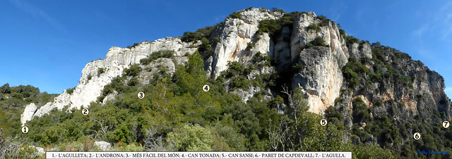 Mont-Ral, Sector Lo Maset de Paisan -02- Pared y Sectores 01- Global 02
